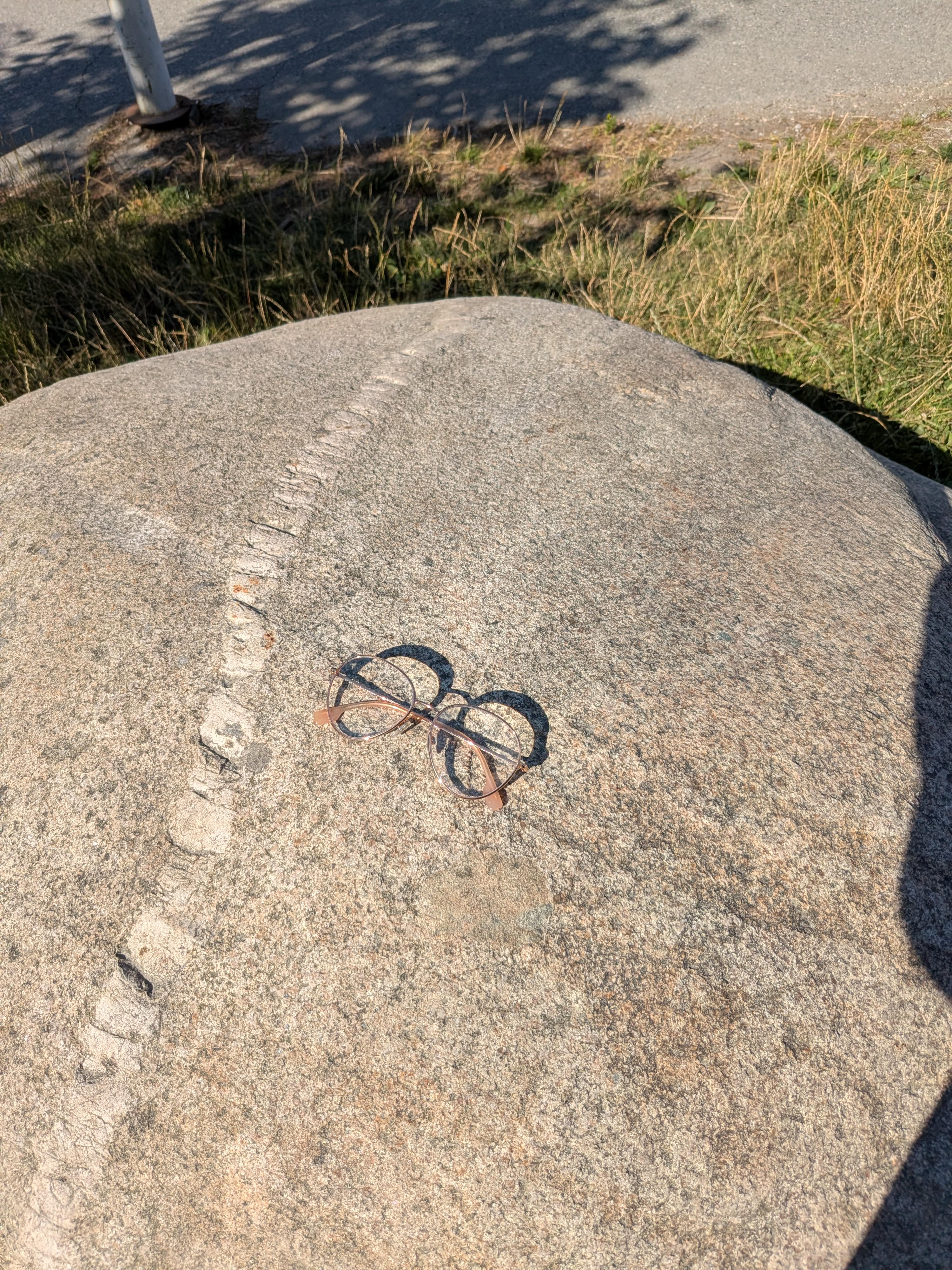 Found glasses