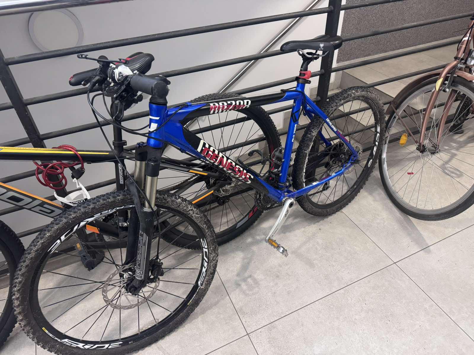 Lost Bike in Novi Sad