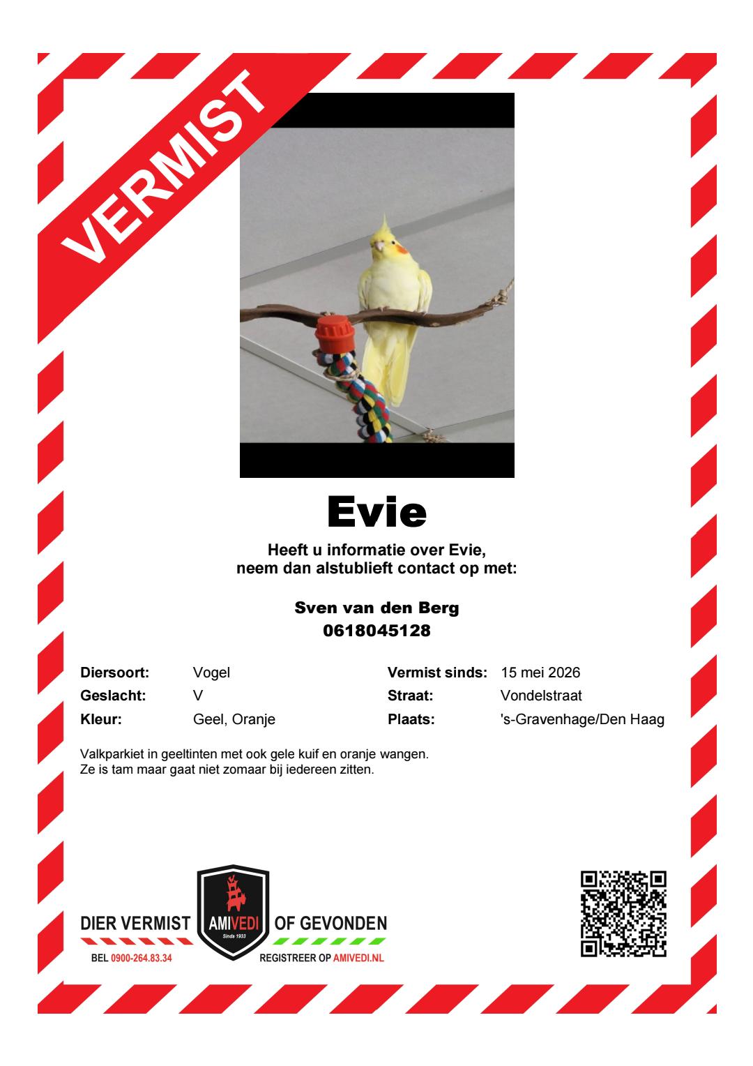Lost Bird in The Hague