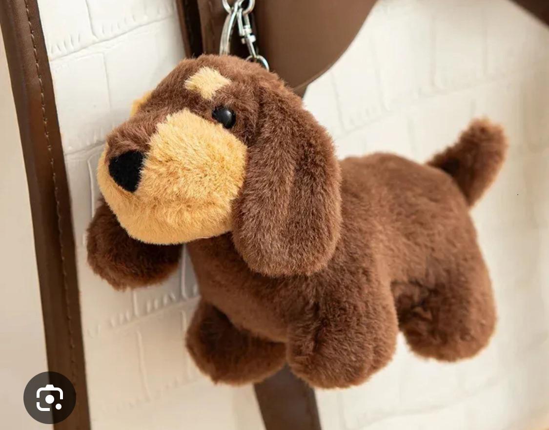 Lost Keychain in Rotterdam