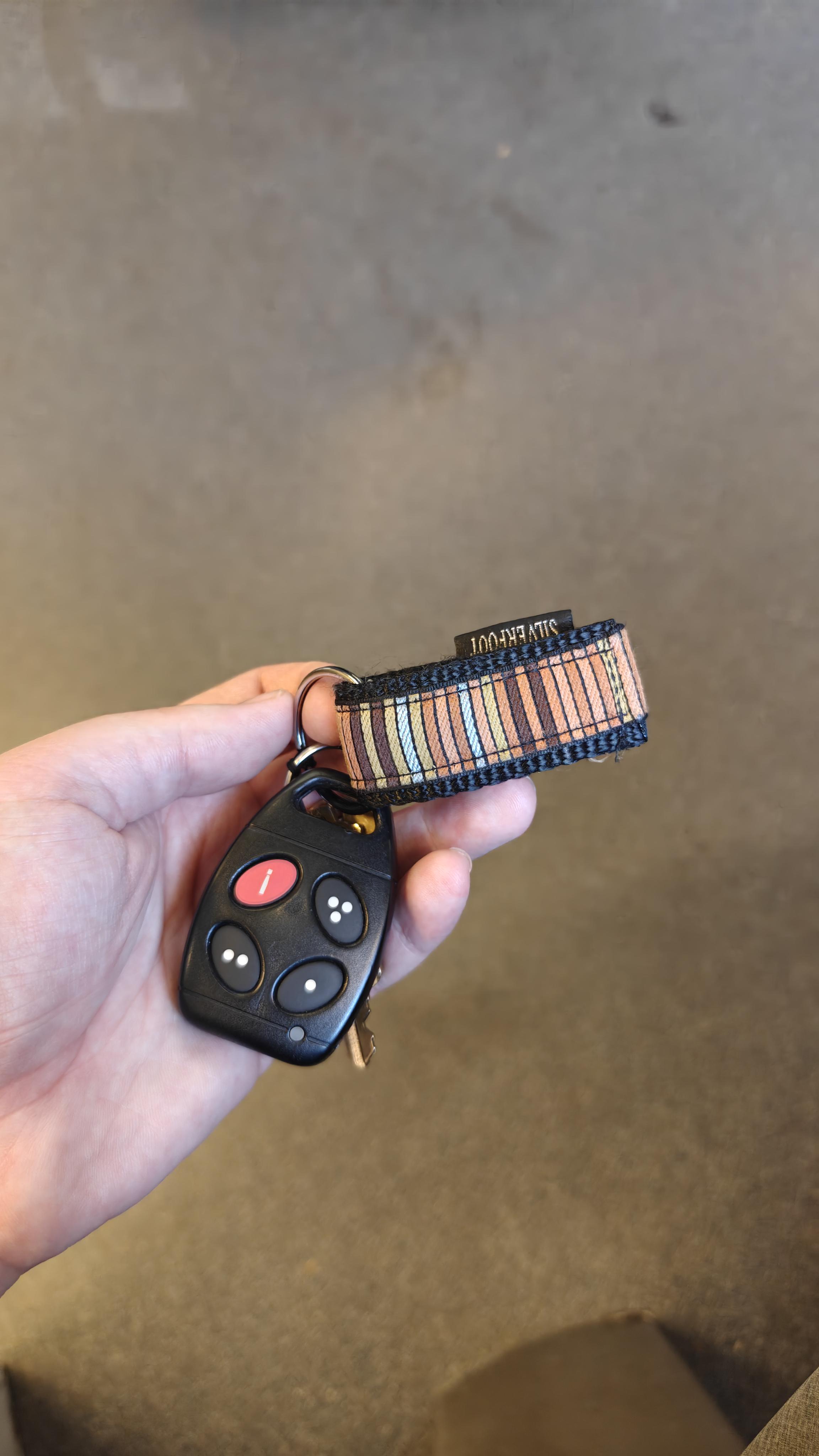 Found keys