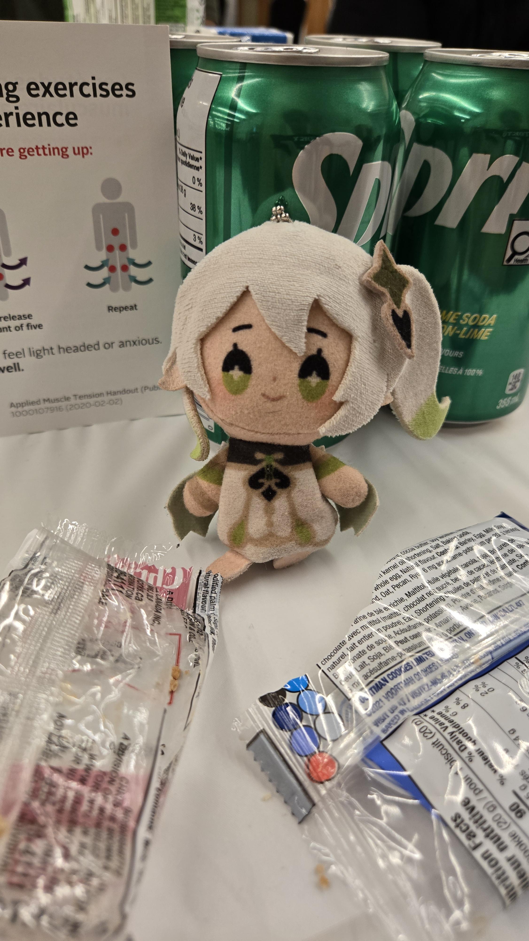 Lost keychain