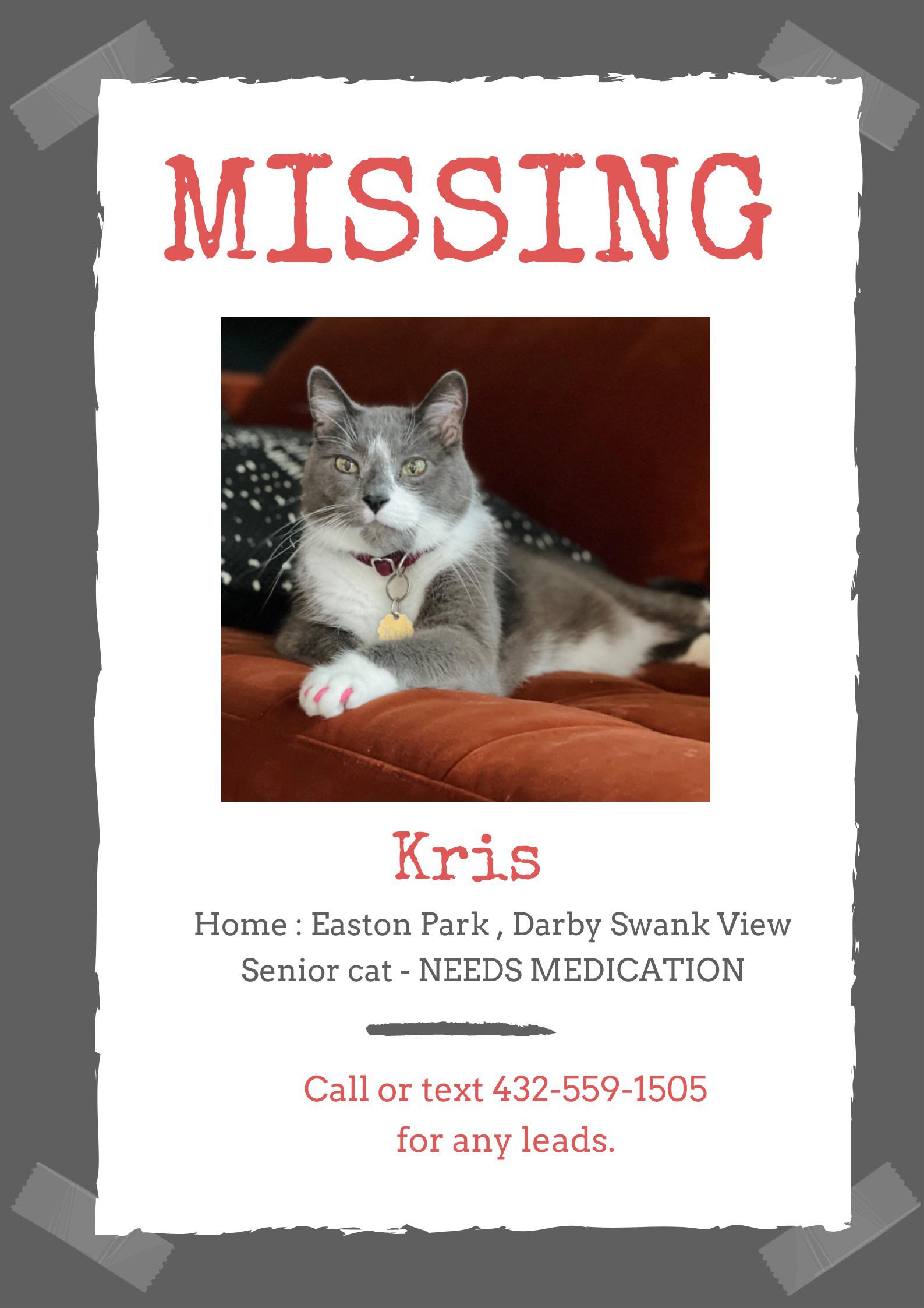 Lost cat