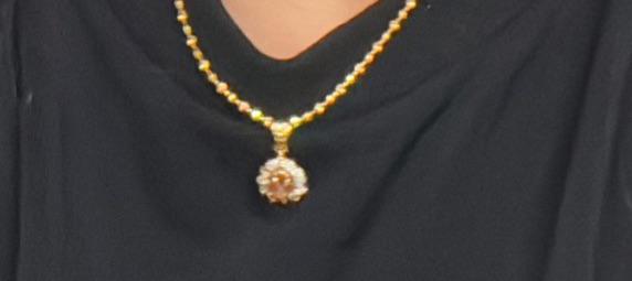 Lost Necklace in Perth