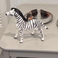 Lost Toy in Sacramento