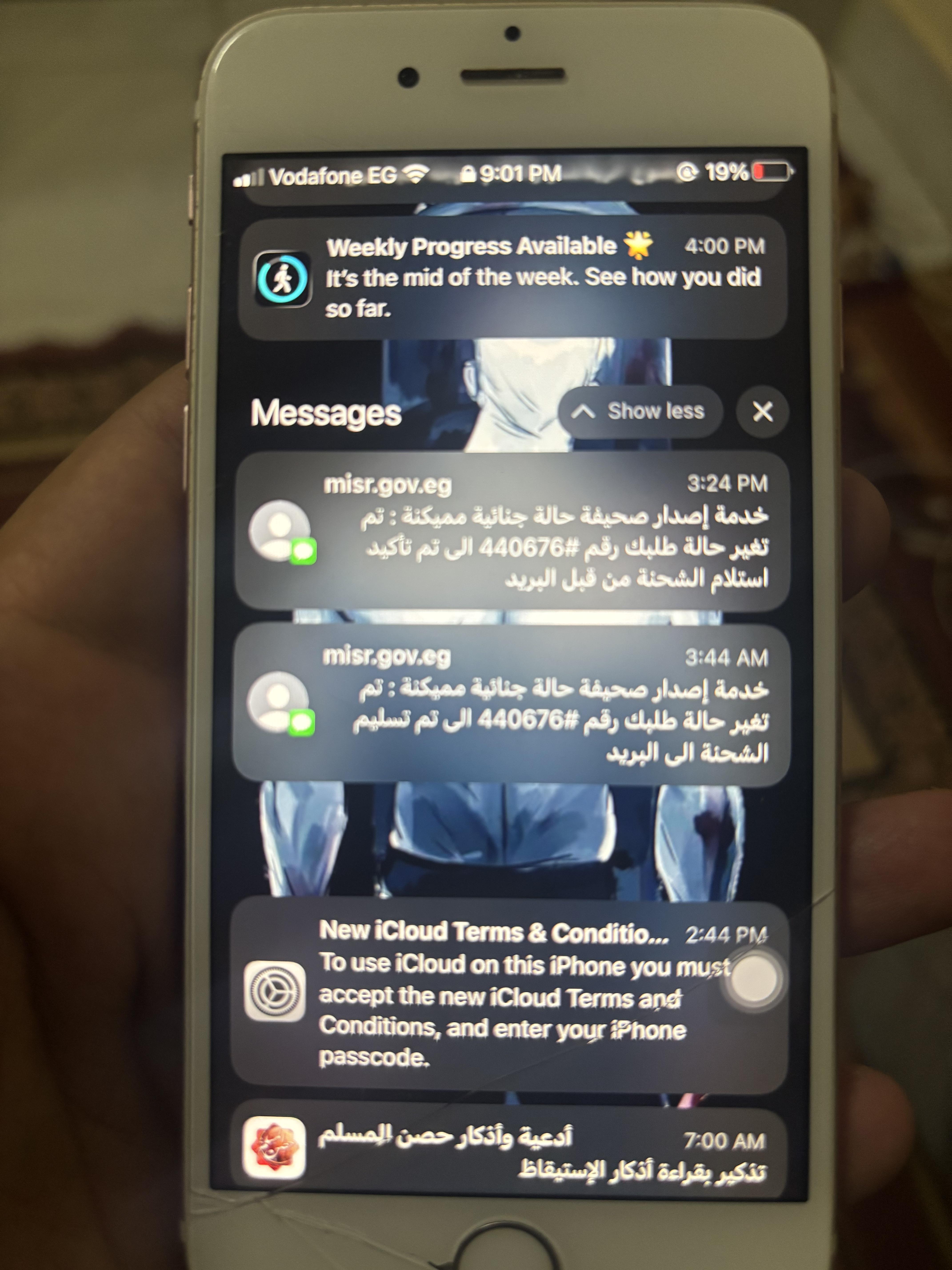 Lost Package in Cairo