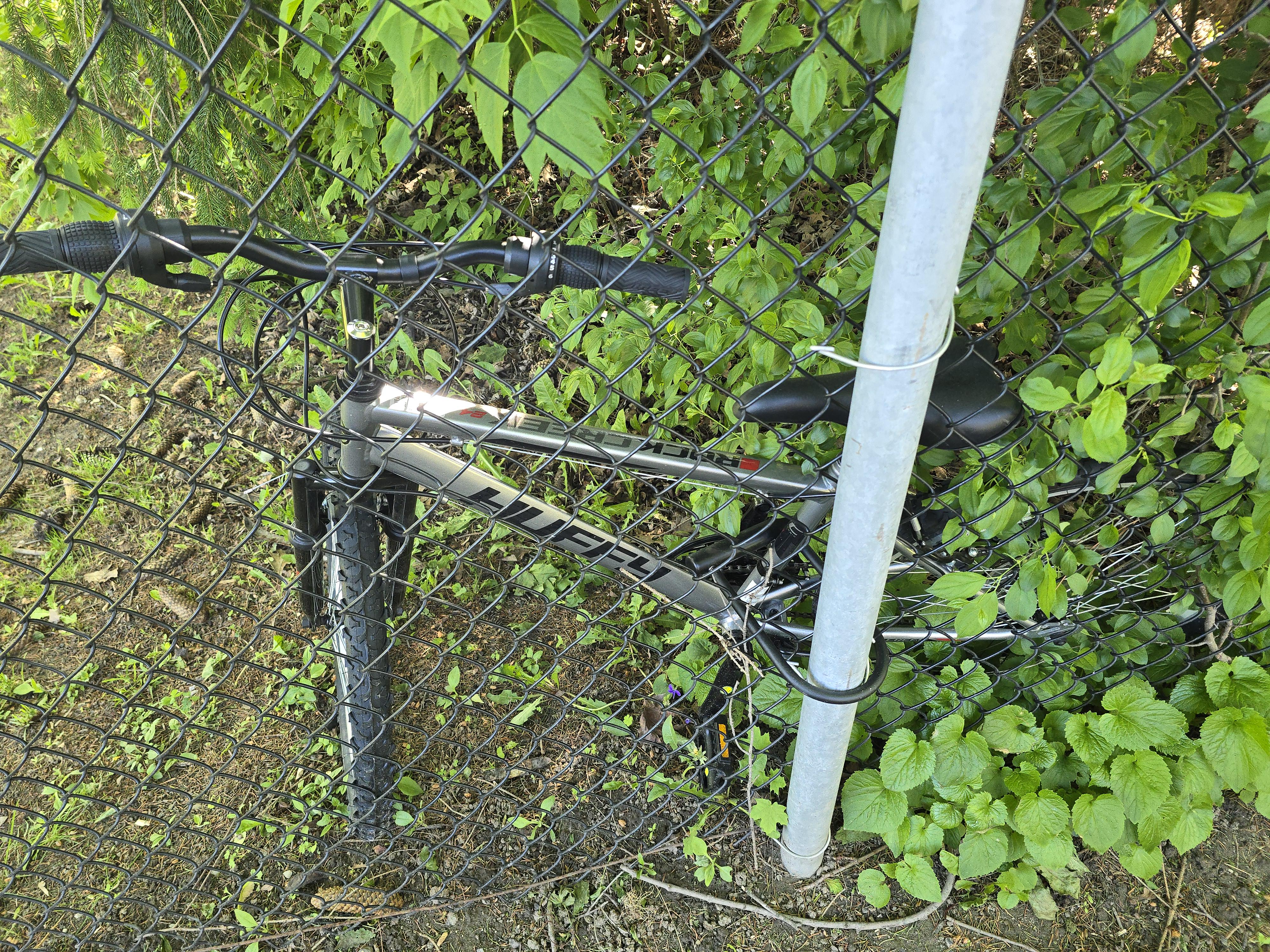 Found bike