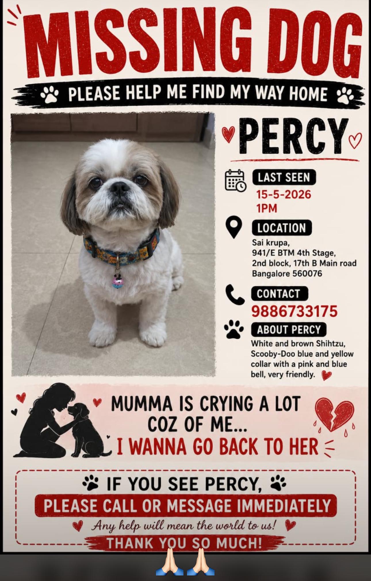 Lost Dog in Bengaluru