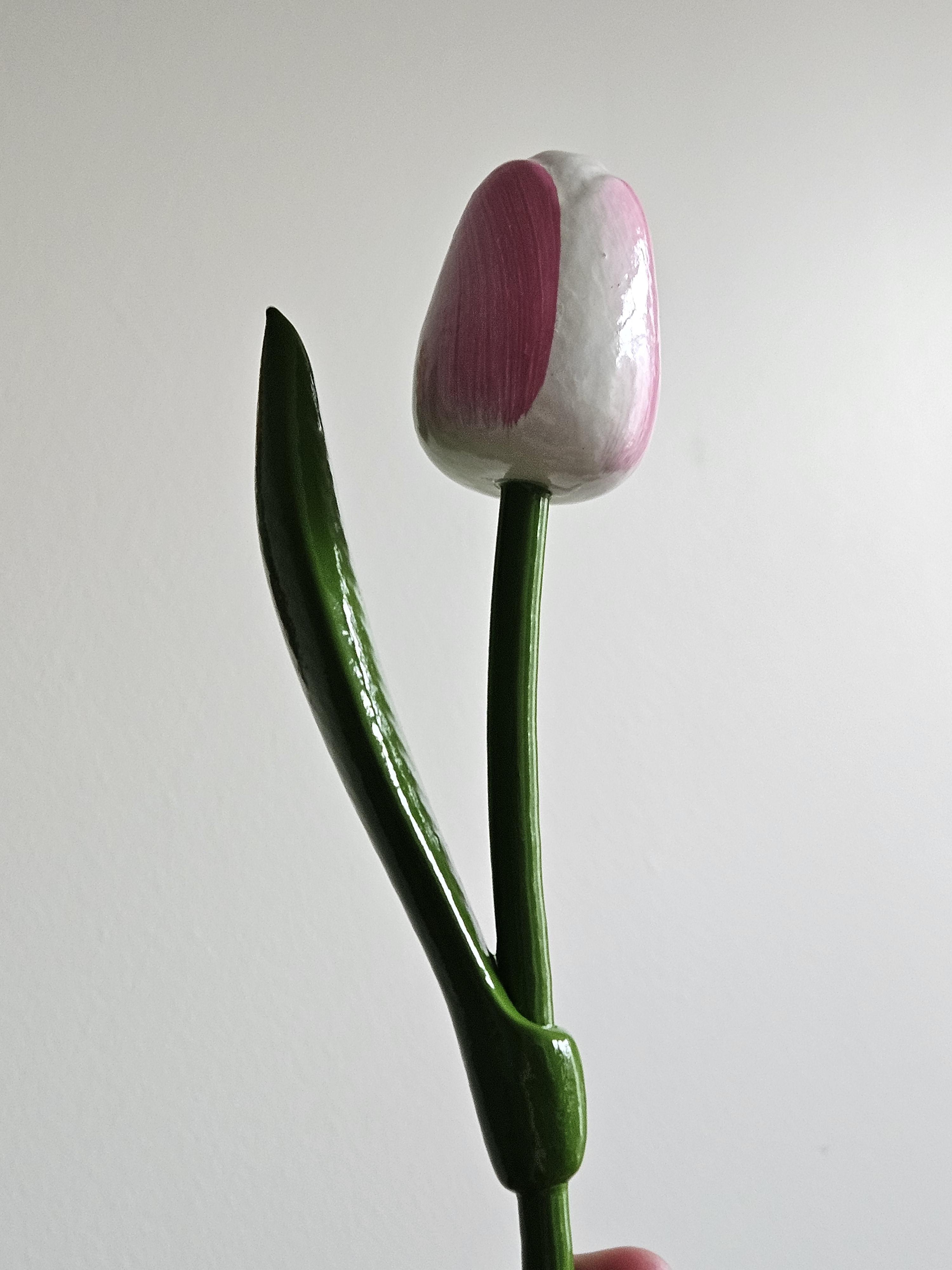 Lost Wooden Tulips in Dow'S Lake