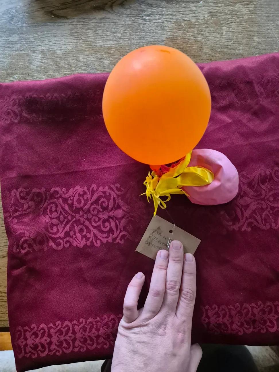 Found Balloons in Latvia