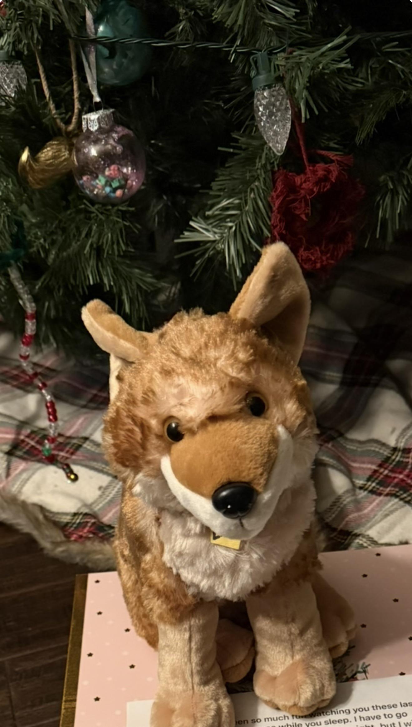 Lost Toy in Denver