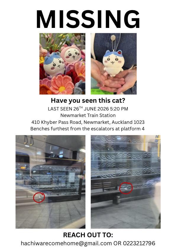 Lost keychain