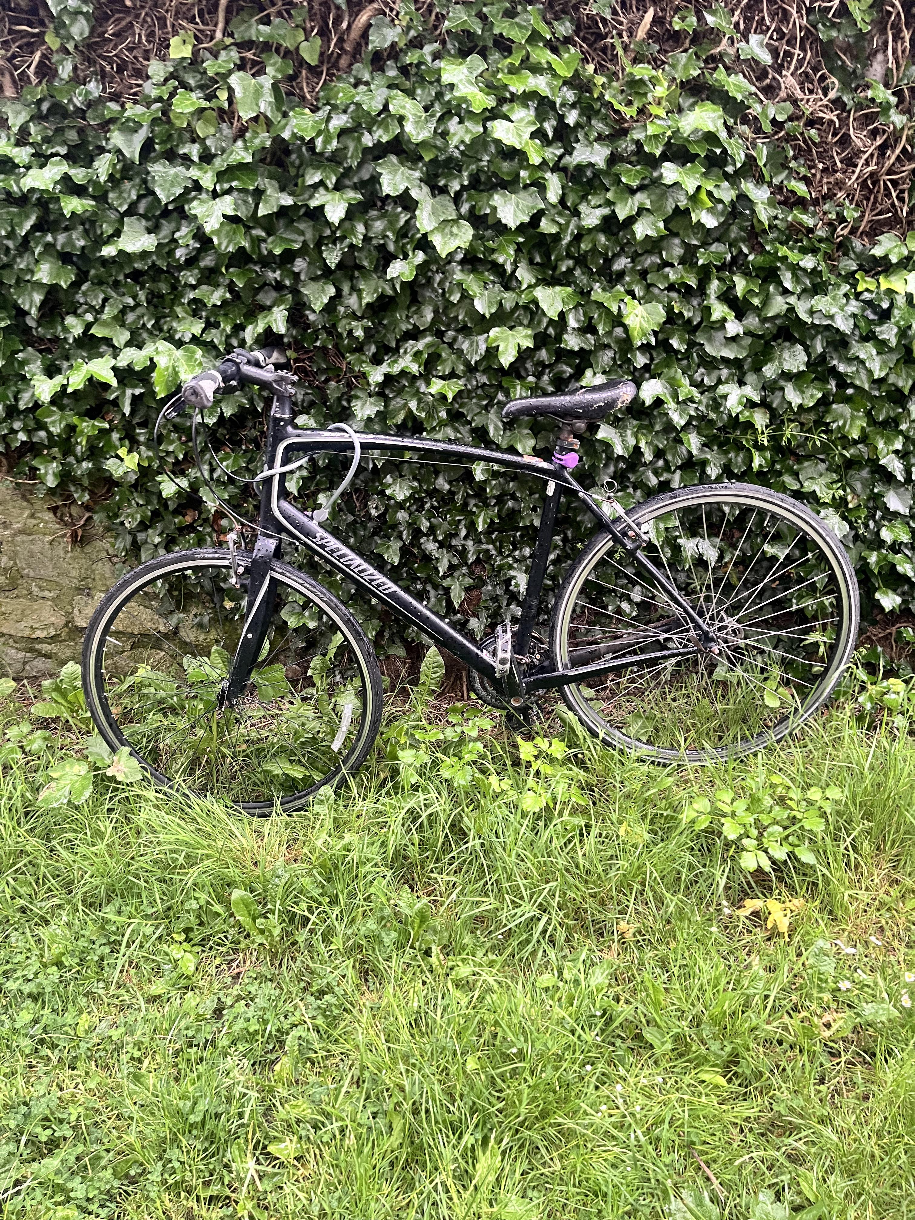 Found bike