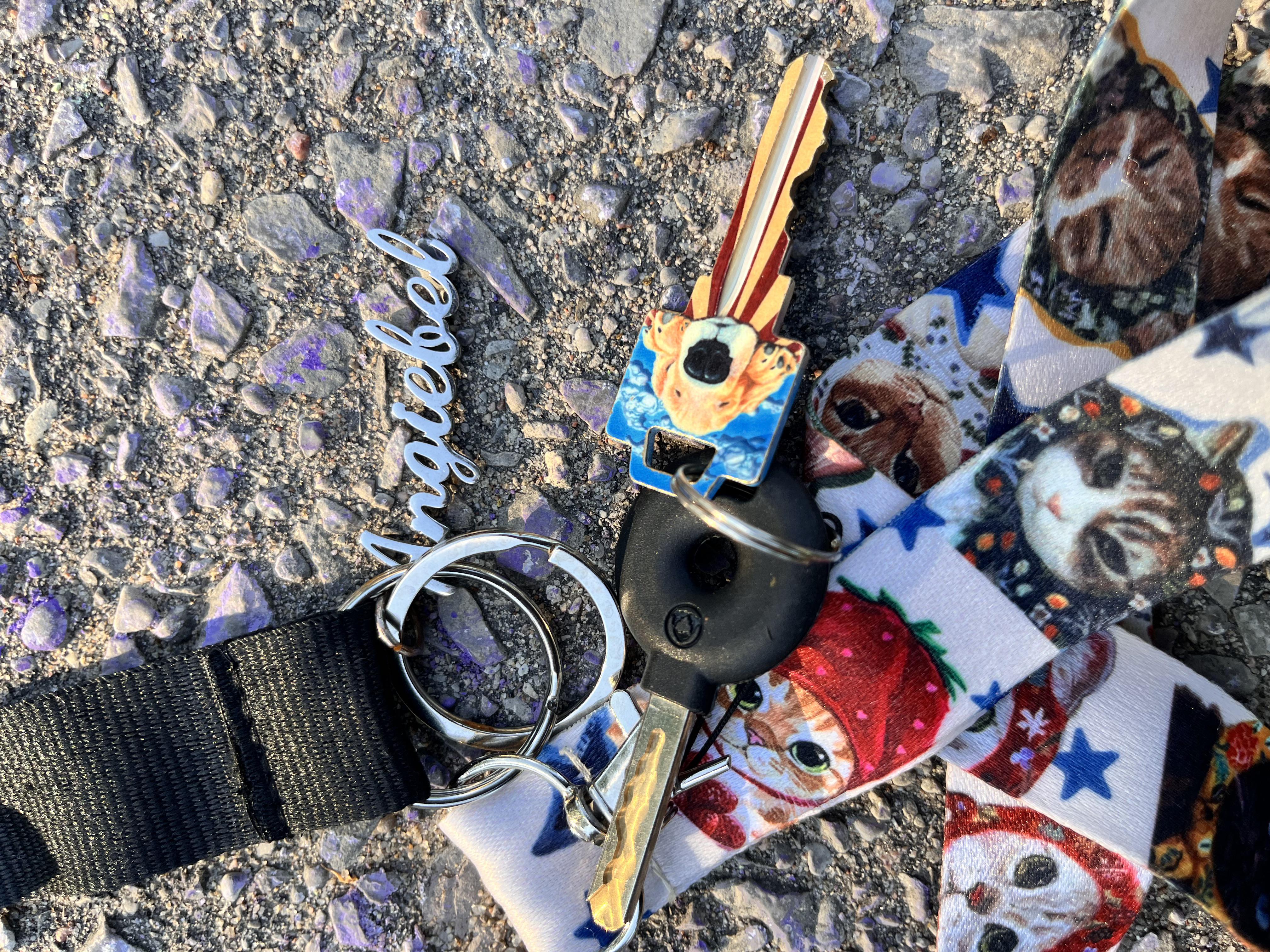 Found Keys in Crestview Public School