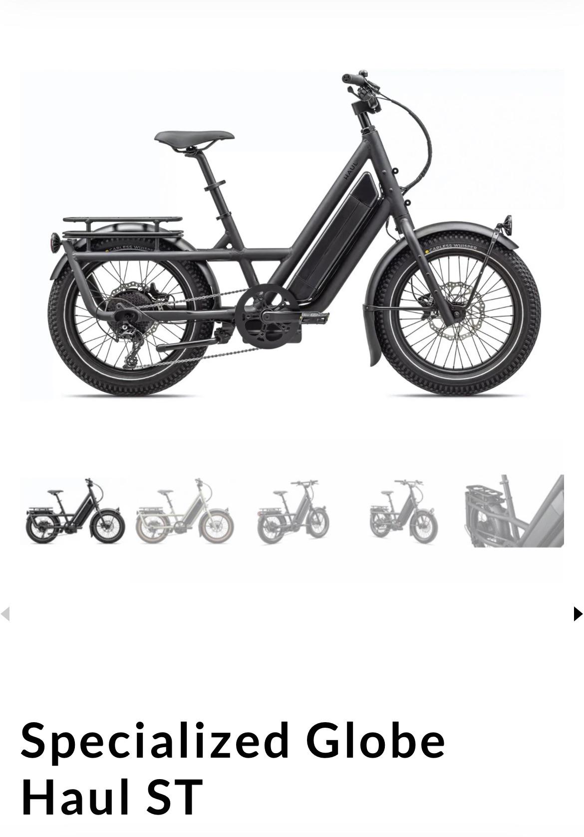 Lost e-bike