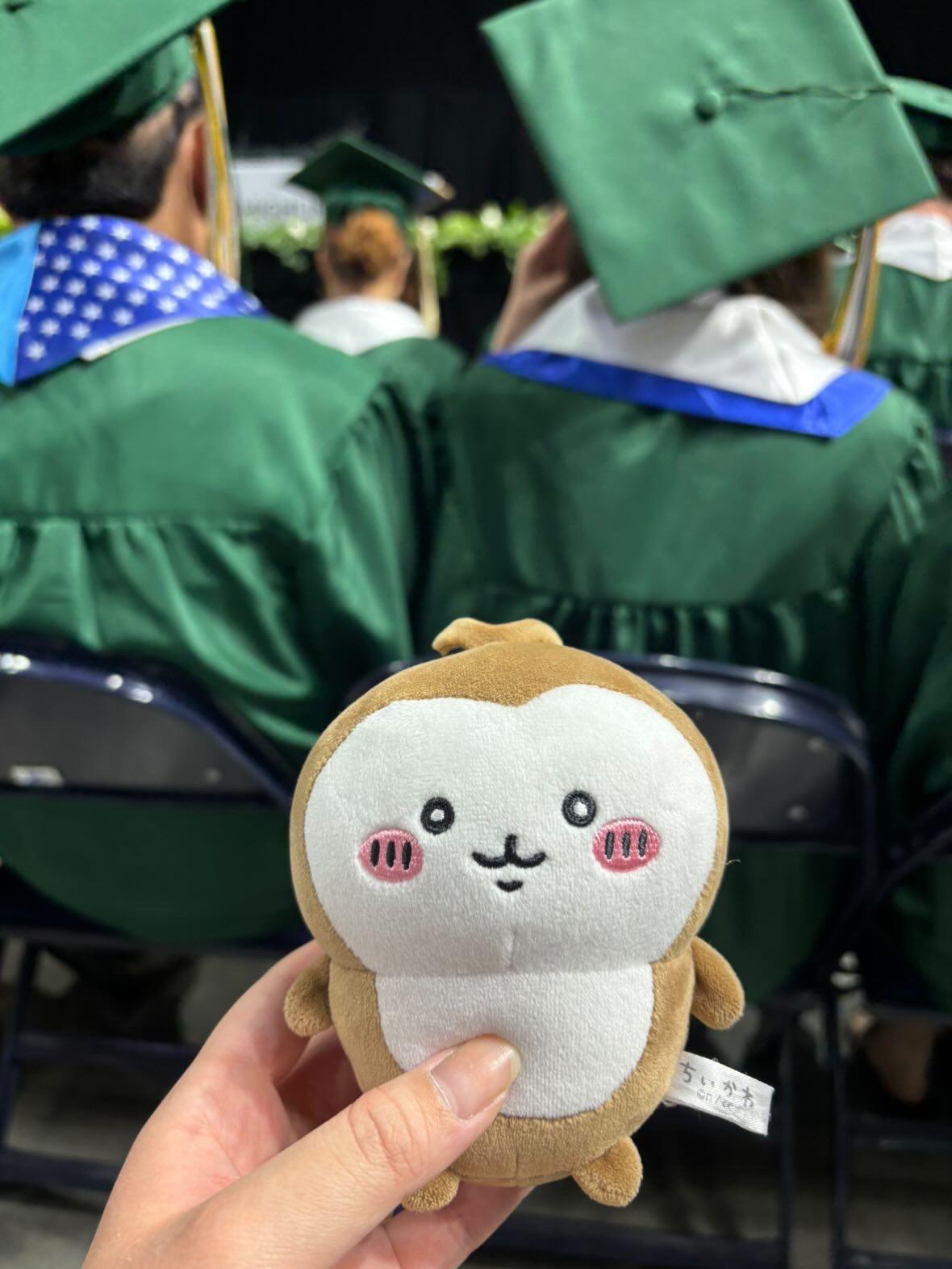 Lost plush toy