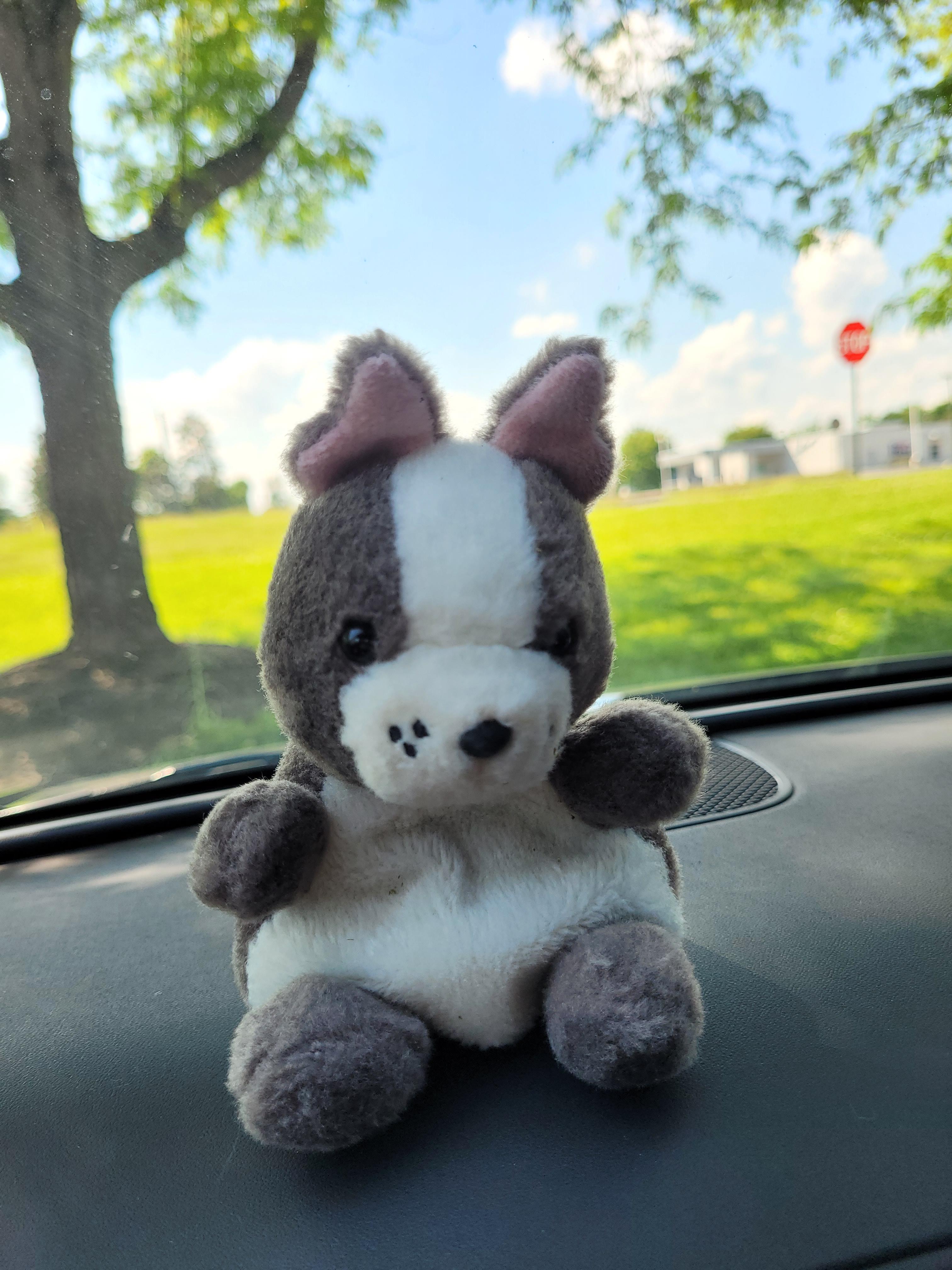Found stuffed toy