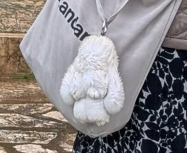 Lost keychain