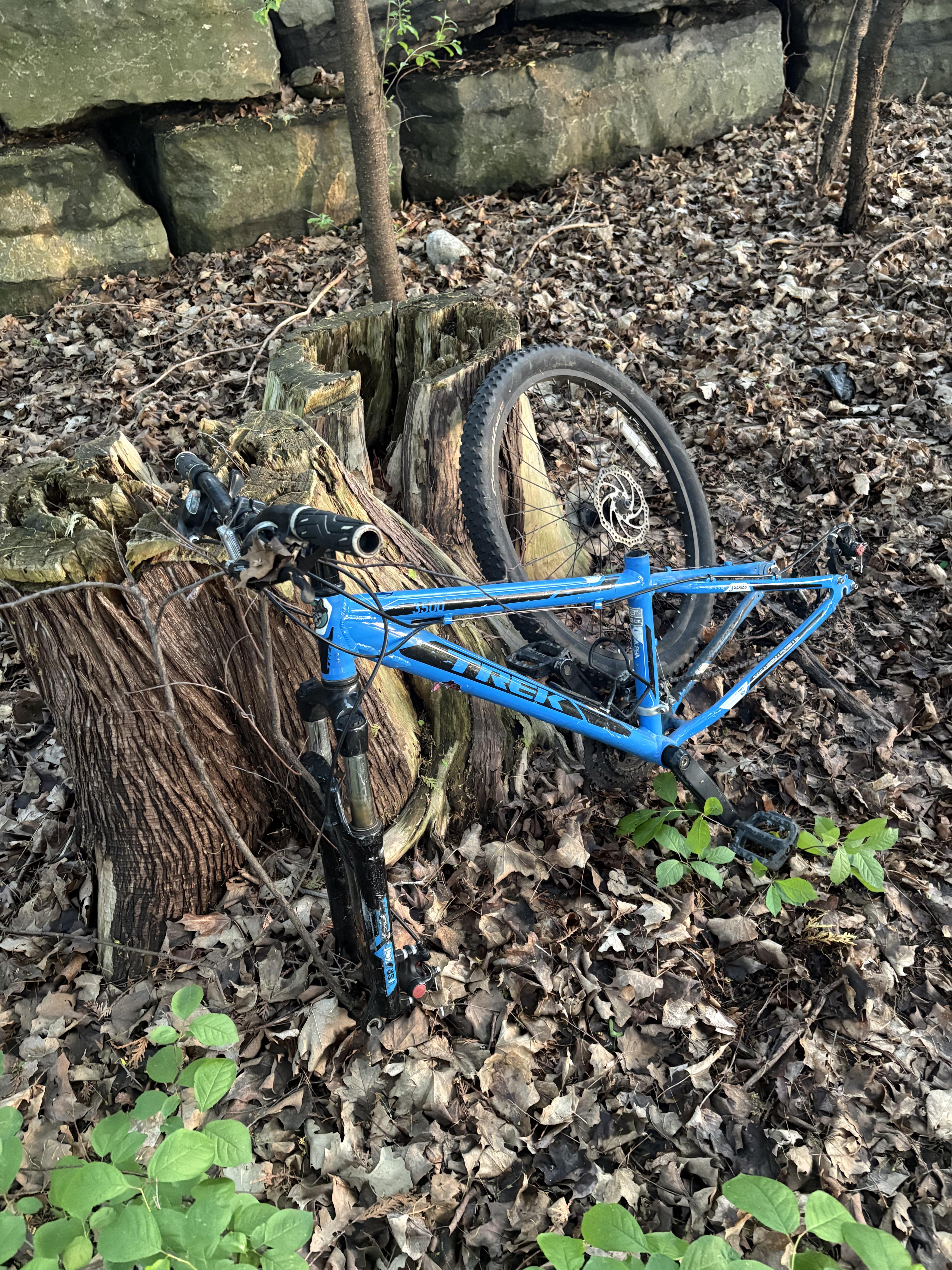 Found bike