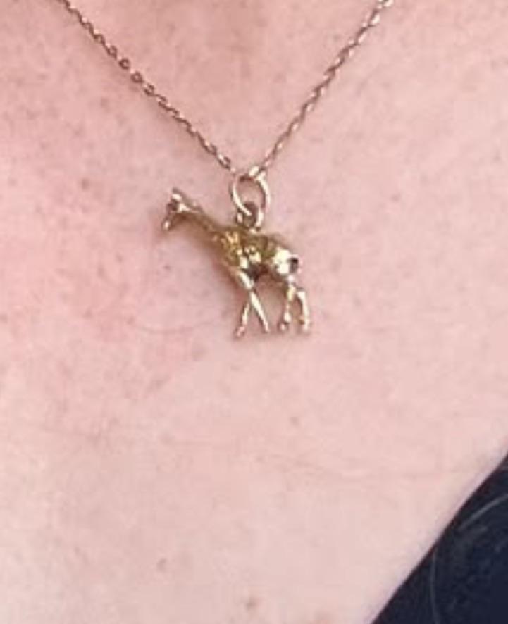 Matching item