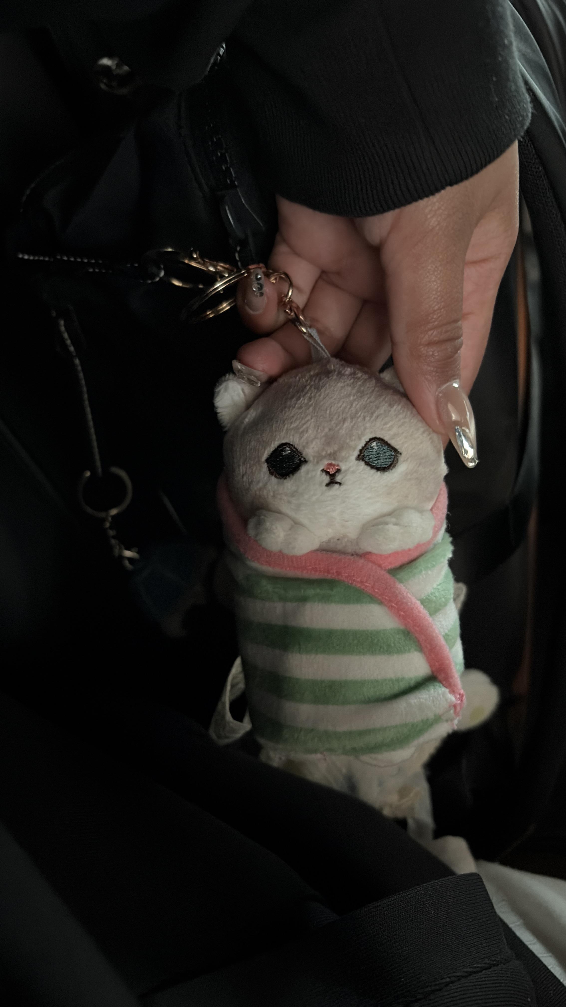 Lost keychain
