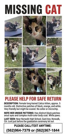 Matching item