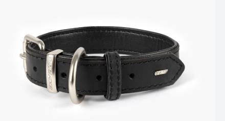 Found collar