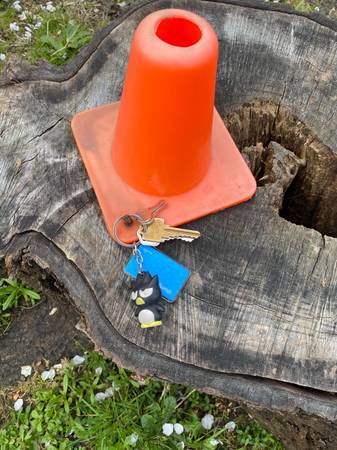 Found keys