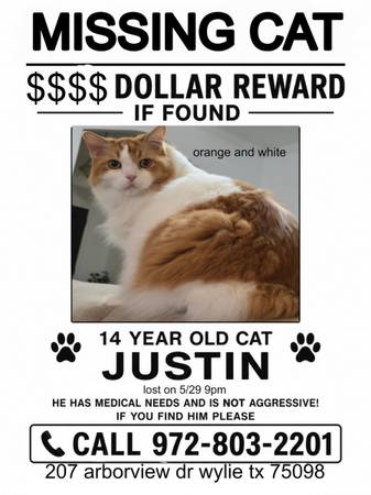 Lost Cat in Wylie