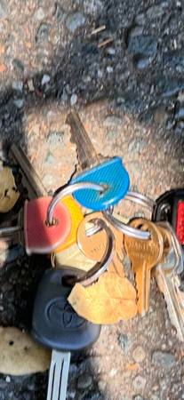 Found keys