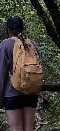 Lost bag