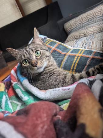 Matching item