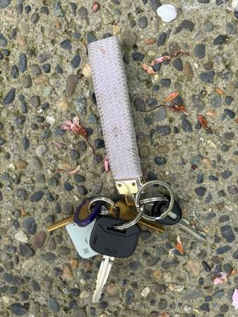 Found keys