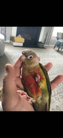 Matching item