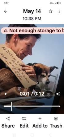 Lost dog