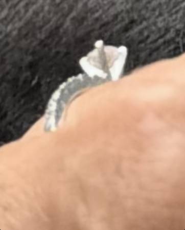 Lost Ring in Ontario