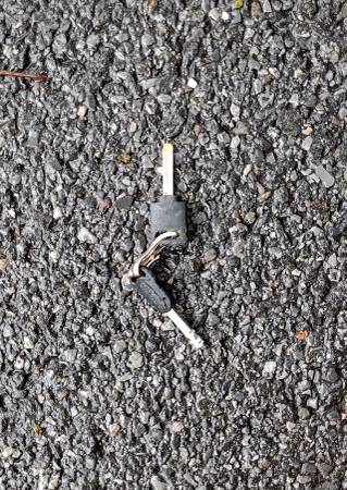 Found keys