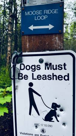 Found Glasses in Little Trailhead