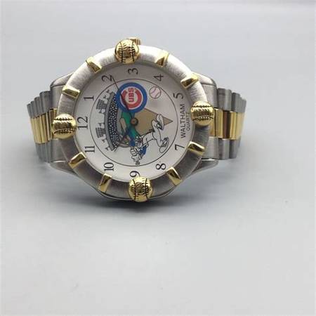 Lost Watch in Chicago