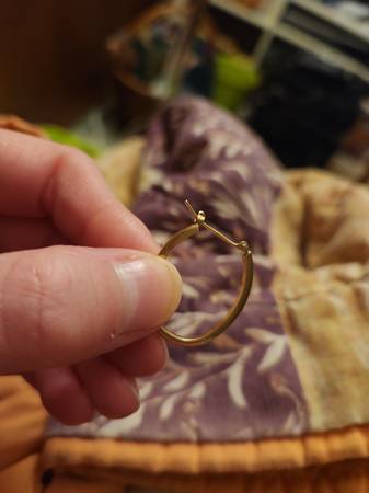 Lost Earring in Beaverton Farmer'S Market