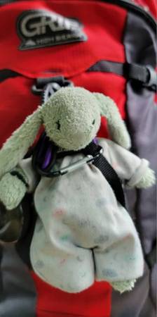 Lost Toy in Puyallup