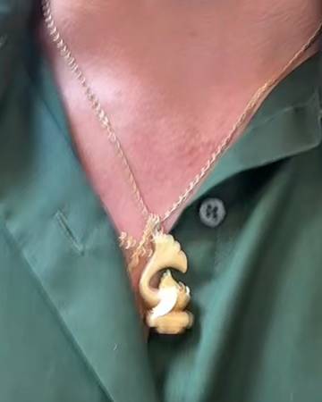 Lost Necklace in Solana Vista Art Show