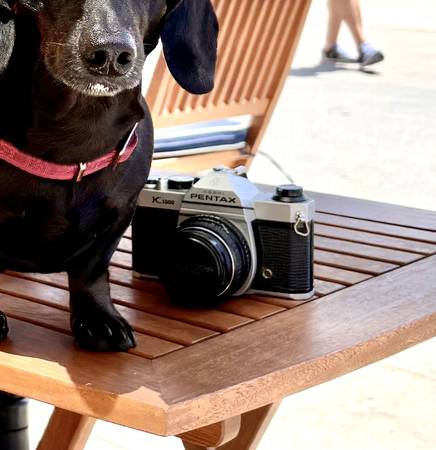 Lost Camera in Venice