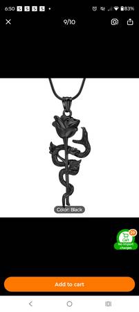 Lost Necklace in Blue River