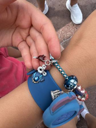 Lost Bracelet in Kissimmee