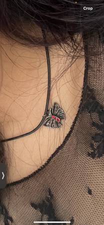 Lost necklace