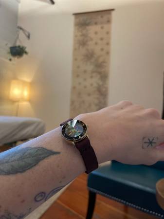 Lost watch