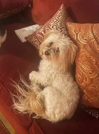 Matching item