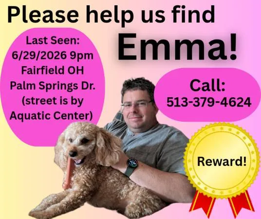 Lost dog