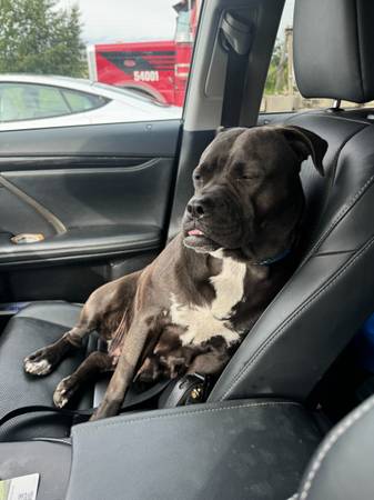 Matching item